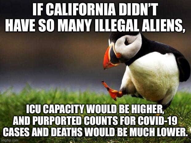 Undocumented COVID cases | IF CALIFORNIA DIDN’T HAVE SO MANY ILLEGAL ALIENS, ICU CAPACITY WOULD BE HIGHER, AND PURPORTED COUNTS FOR COVID-19 CASES AND DEATHS WOULD BE MUCH LOWER. | image tagged in memes,unpopular opinion puffin,virus,california,illegal aliens,hospital | made w/ Imgflip meme maker
