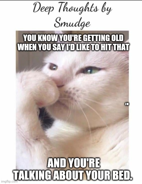 Smudge | YOU KNOW YOU'RE GETTING OLD WHEN YOU SAY I'D LIKE TO HIT THAT; J M; AND YOU'RE TALKING ABOUT YOUR BED. | image tagged in smudge | made w/ Imgflip meme maker