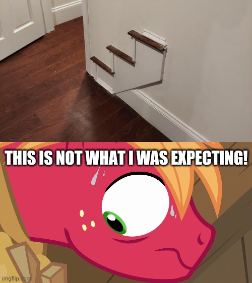 Ok, Why?! | THIS IS NOT WHAT I WAS EXPECTING! | image tagged in feared big macintosh mlp,you had one job,funny,task failed successfully,memes | made w/ Imgflip meme maker