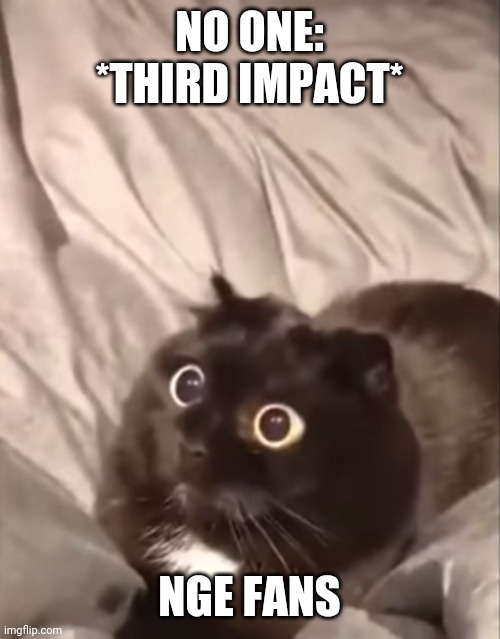 Impact | NO ONE:
*THIRD IMPACT*; NGE FANS | image tagged in anime,neon genesis evangelion,evangelion,impact,animeme | made w/ Imgflip meme maker