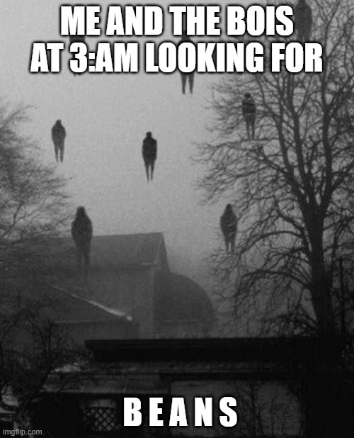 Me and the boys at 3 AM | ME AND THE BOIS AT 3:AM LOOKING FOR; B E A N S | image tagged in me and the boys at 3 am | made w/ Imgflip meme maker