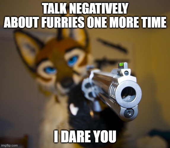 Furry with gun | TALK NEGATIVELY ABOUT FURRIES ONE MORE TIME; I DARE YOU | image tagged in furry with gun | made w/ Imgflip meme maker