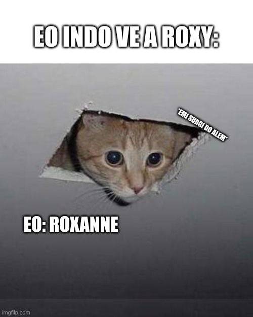 Ceiling Cat | EO INDO VE A ROXY:; *EMI SURGI DO ALEM*; EO: ROXANNE | image tagged in memes,ceiling cat | made w/ Imgflip meme maker