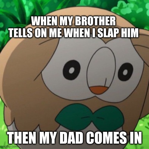 Rowlet Meme Template | WHEN MY BROTHER TELLS ON ME WHEN I SLAP HIM; THEN MY DAD COMES IN | image tagged in rowlet meme template | made w/ Imgflip meme maker