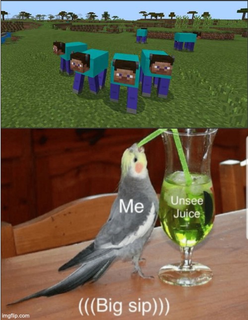I have seen too much | image tagged in minecraft,nasty,unsee juice | made w/ Imgflip meme maker