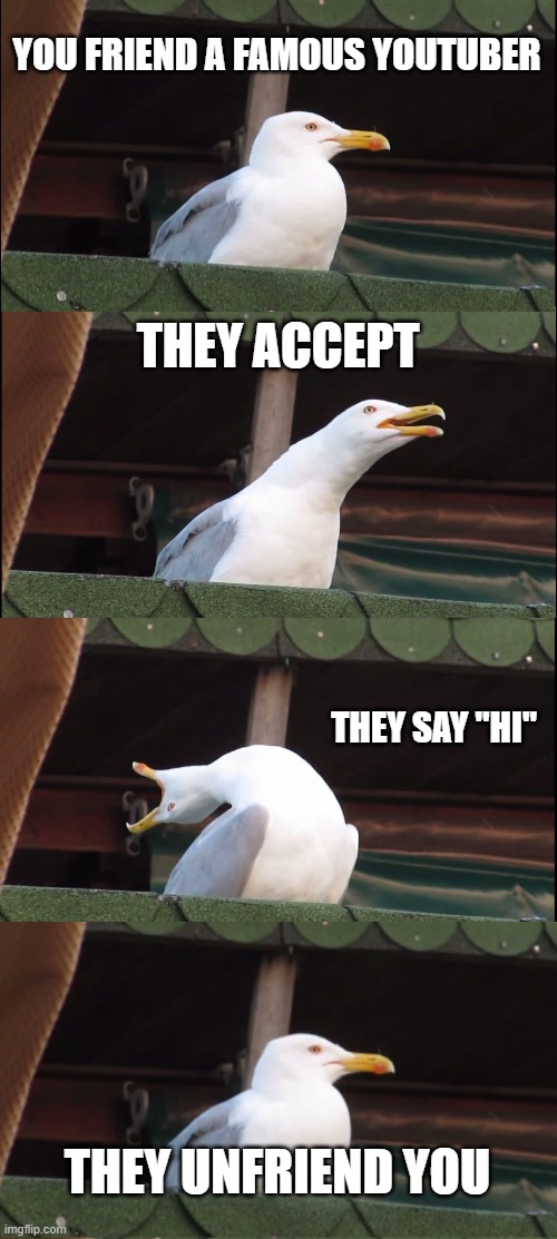 Inhaling Seagull |  YOU FRIEND A FAMOUS YOUTUBER; THEY ACCEPT; THEY SAY "HI"; THEY UNFRIEND YOU | image tagged in memes,inhaling seagull | made w/ Imgflip meme maker