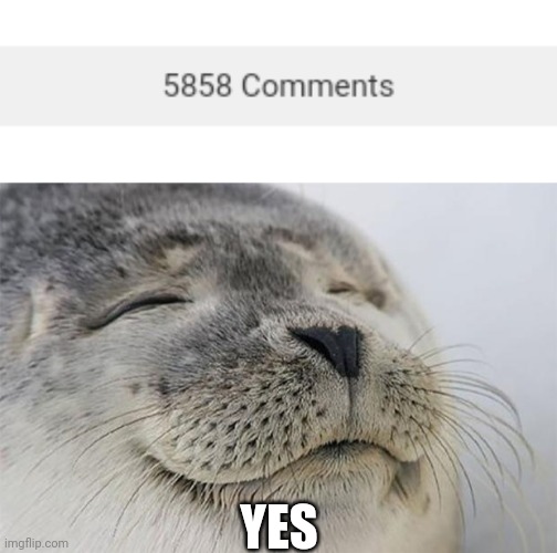 YES | image tagged in memes,satisfied seal | made w/ Imgflip meme maker