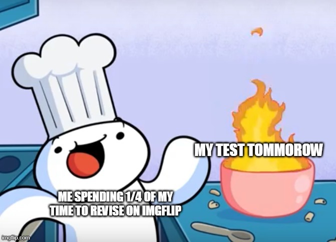 Ahaha...Im so dead :D | MY TEST TOMMOROW; ME SPENDING 1/4 OF MY TIME TO REVISE ON IMGFLIP | image tagged in odd1sout cooking | made w/ Imgflip meme maker