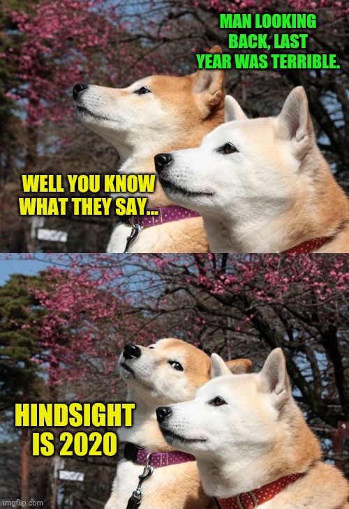 A little new years joke for y'all, have a great 2021! | MAN LOOKING BACK, LAST YEAR WAS TERRIBLE. WELL YOU KNOW WHAT THEY SAY... HINDSIGHT IS 2020 | image tagged in bad pun dogs,happy new year,dad joke dog | made w/ Imgflip meme maker