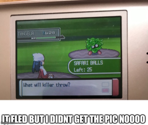 I HATE SINNOH NOW I LOST A SHINY TANGELA IT FLED | IT FLED BUT I DIDNT GET THE PIC NOOOO | made w/ Imgflip meme maker