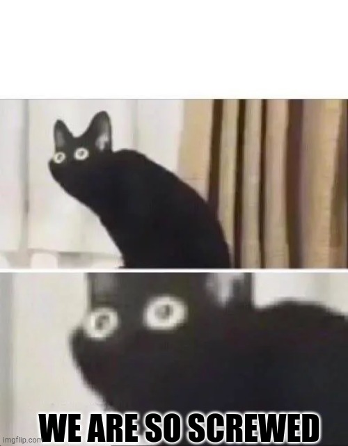 Oh No Black Cat | WE ARE SO SCREWED | image tagged in oh no black cat | made w/ Imgflip meme maker