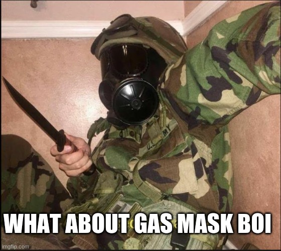 confused screaming but with gas mask | WHAT ABOUT GAS MASK BOI | image tagged in confused screaming but with gas mask | made w/ Imgflip meme maker