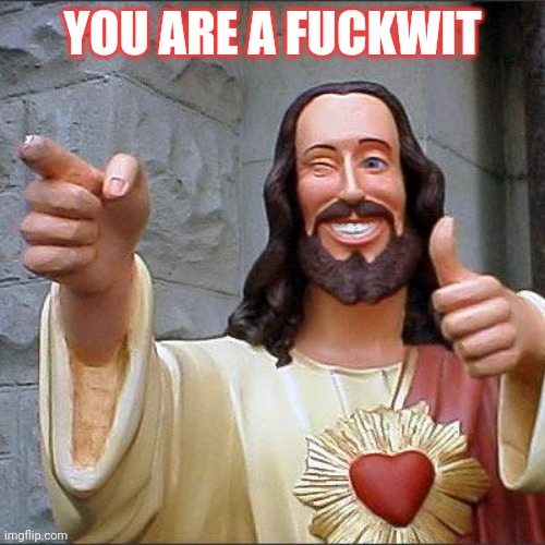 Jesus thinks that you are a fuckwit | YOU ARE A FUCKWIT | image tagged in memes,buddy christ | made w/ Imgflip meme maker