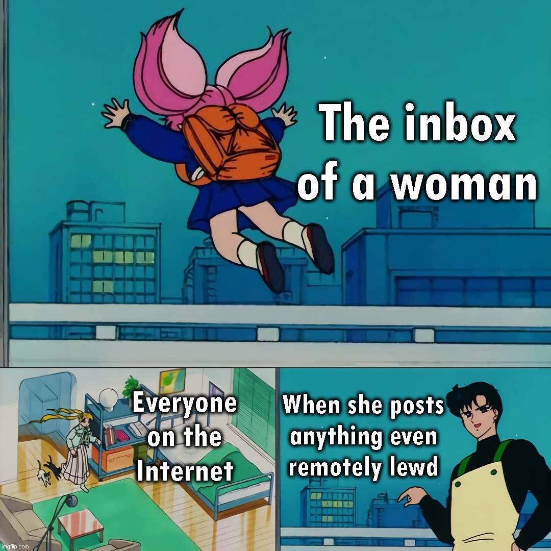 Sometimes it sucks being a girl on the web | The inbox
of a woman; When she posts
anything even
remotely lewd; Everyone
on the
Internet | image tagged in she just jumped,rip inbox,internet,web | made w/ Imgflip meme maker