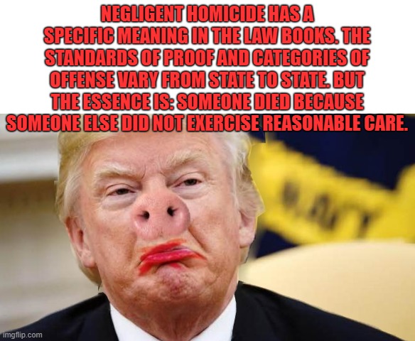 NEGLIGENT HOMICIDE | NEGLIGENT HOMICIDE HAS A SPECIFIC MEANING IN THE LAW BOOKS. THE STANDARDS OF PROOF AND CATEGORIES OF OFFENSE VARY FROM STATE TO STATE. BUT THE ESSENCE IS: SOMEONE DIED BECAUSE SOMEONE ELSE DID NOT EXERCISE REASONABLE CARE. | image tagged in negligent,homicide,trump,criminal,covid,misinformed | made w/ Imgflip meme maker