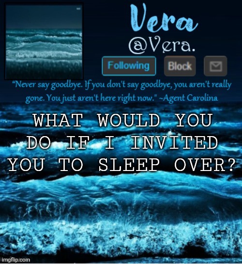 a n n o u n c e r e v i s e d | WHAT WOULD YOU DO IF I INVITED YOU TO SLEEP OVER? | image tagged in a n n o u n c e r e v i s e d | made w/ Imgflip meme maker