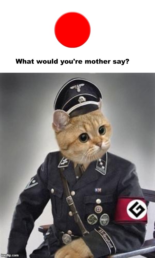 SPELLING- | image tagged in grammar nazi cat | made w/ Imgflip meme maker
