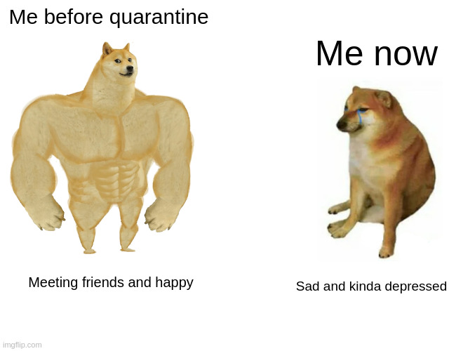 Quarantine Life | Me before quarantine; Me now; Meeting friends and happy; Sad and kinda depressed | image tagged in memes,buff doge vs cheems | made w/ Imgflip meme maker