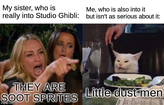 Woman Yelling At Cat Meme | My sister, who is really into Studio Ghibli:; Me, who is also into it but isn't as serious about it:; THEY ARE SOOT SPRITES; Little dust men | image tagged in memes,woman yelling at cat | made w/ Imgflip meme maker