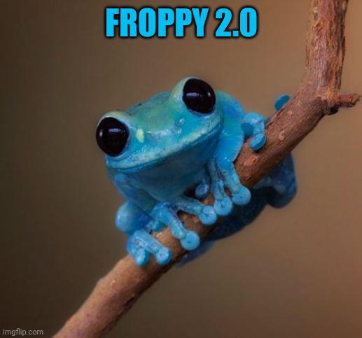blue frog meme | FROPPY 2.0 | image tagged in blue frog meme | made w/ Imgflip meme maker