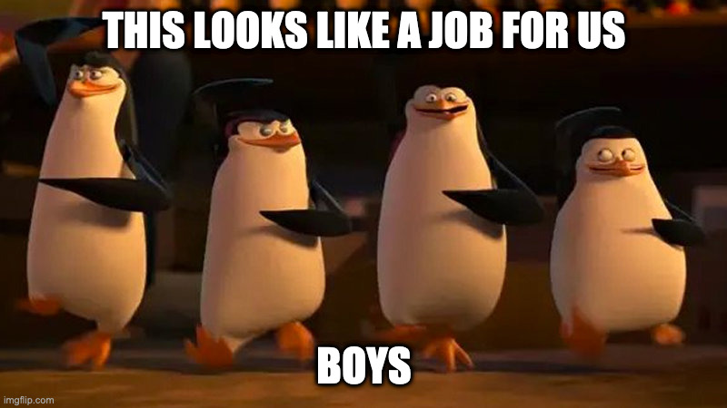 penguins of madagascar | THIS LOOKS LIKE A JOB FOR US BOYS | image tagged in penguins of madagascar | made w/ Imgflip meme maker