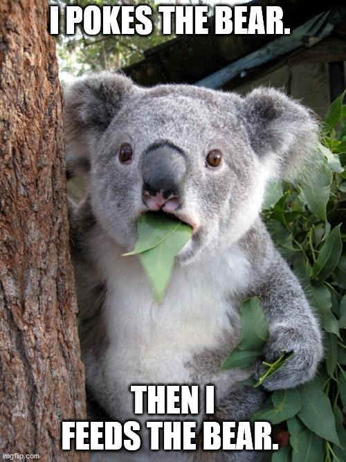 Surprised Koala Meme | I POKES THE BEAR. THEN I FEEDS THE BEAR. | image tagged in memes,surprised koala | made w/ Imgflip meme maker