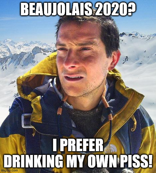 The best thing about that year is, it's over! |  BEAUJOLAIS 2020? I PREFER DRINKING MY OWN PISS! | image tagged in memes,bear grylls,2020 | made w/ Imgflip meme maker