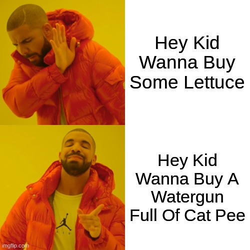 Drake Hotline Bling Meme | Hey Kid Wanna Buy Some Lettuce; Hey Kid Wanna Buy A Watergun Full Of Cat Pee | image tagged in memes,drake hotline bling | made w/ Imgflip meme maker