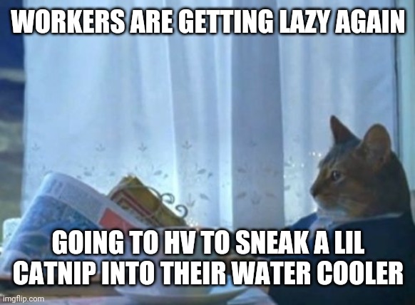 I Should Buy A Boat Cat Meme | WORKERS ARE GETTING LAZY AGAIN; GOING TO HV TO SNEAK A LIL CATNIP INTO THEIR WATER COOLER | image tagged in memes,i should buy a boat cat | made w/ Imgflip meme maker