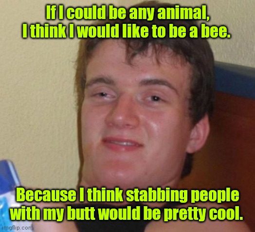 Watch out! | If I could be any animal, I think I would like to be a bee. Because I think stabbing people with my butt would be pretty cool. | image tagged in memes,10 guy,funny | made w/ Imgflip meme maker