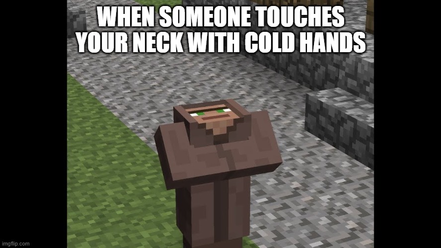 When someone touches your neck with cold hands | WHEN SOMEONE TOUCHES YOUR NECK WITH COLD HANDS | image tagged in minecraft,touch,neck,cold,hands,funny | made w/ Imgflip meme maker