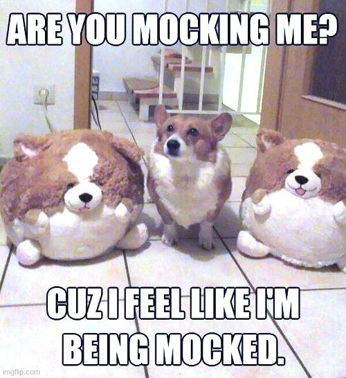 i feel like i'm mocked tight now... | image tagged in dog,funny memes,memes | made w/ Imgflip meme maker