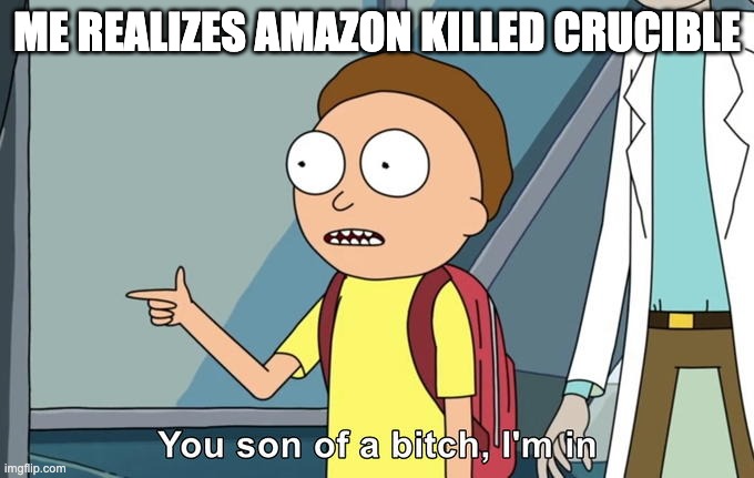 Morty I'm in | ME REALIZES AMAZON KILLED CRUCIBLE | image tagged in morty i'm in | made w/ Imgflip meme maker