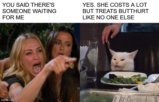 Woman Yelling At Cat Meme | YOU SAID THERE'S
SOMEONE WAITING
FOR ME; YES. SHE COSTS A LOT
BUT TREATS BUTTHURT
LIKE NO ONE ELSE | image tagged in memes,woman yelling at cat,dating | made w/ Imgflip meme maker