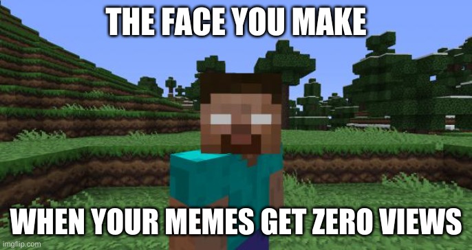 Herobrine |  THE FACE YOU MAKE; WHEN YOUR MEMES GET ZERO VIEWS | image tagged in herobrine | made w/ Imgflip meme maker