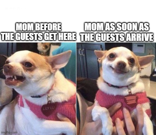 angry chihuahua happy chihuahua | MOM AS SOON AS THE GUESTS ARRIVE; MOM BEFORE THE GUESTS GET HERE | image tagged in angry chihuahua happy chihuahua | made w/ Imgflip meme maker