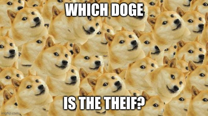 Multi Doge | WHICH DOGE; IS THE THEIF? | image tagged in memes,multi doge | made w/ Imgflip meme maker