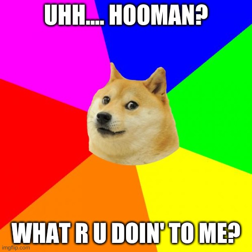 Advice Doge | UHH.... HOOMAN? WHAT R U DOIN' TO ME? | image tagged in memes,advice doge | made w/ Imgflip meme maker
