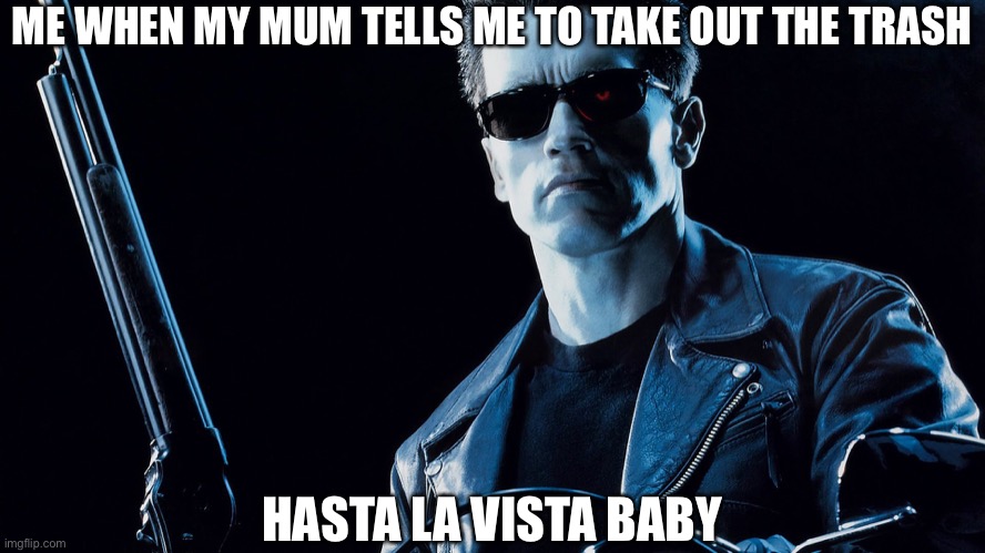 This is the wallpaper on my iPad | ME WHEN MY MUM TELLS ME TO TAKE OUT THE TRASH; HASTA LA VISTA BABY | image tagged in terminator 2 judgement memes | made w/ Imgflip meme maker