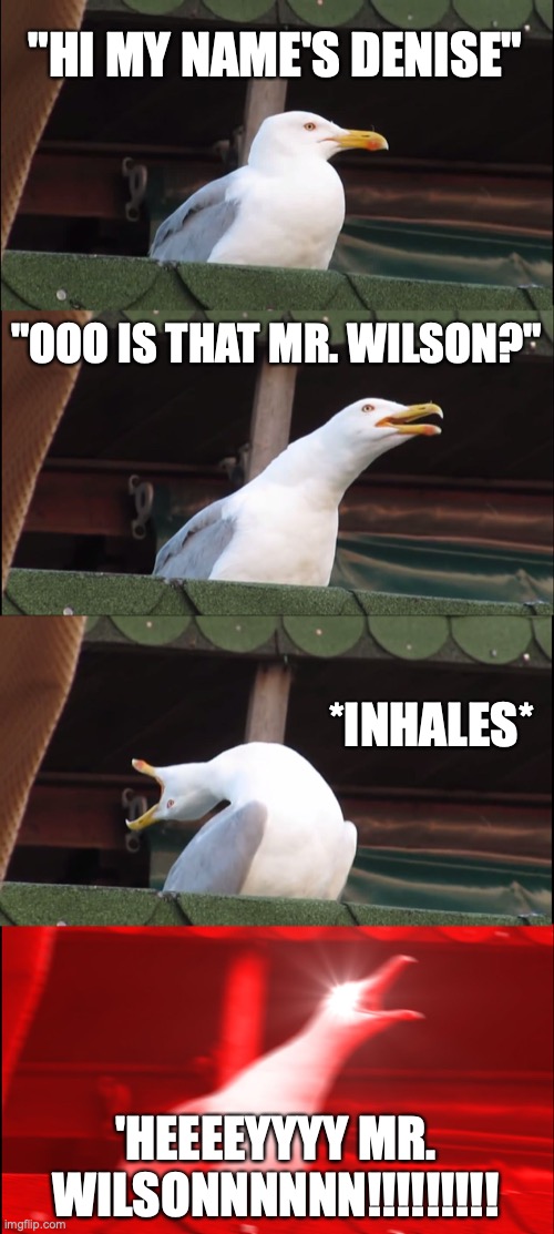 Inhaling Seagull | "HI MY NAME'S DENISE"; "OOO IS THAT MR. WILSON?"; *INHALES*; 'HEEEEYYYY MR. WILSONNNNNN!!!!!!!!! | image tagged in memes,inhaling seagull | made w/ Imgflip meme maker