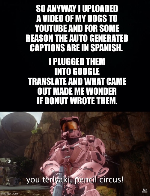 Donut’s Terrible Spanish | I PLUGGED THEM INTO GOOGLE TRANSLATE AND WHAT CAME OUT MADE ME WONDER IF DONUT WROTE THEM. SO ANYWAY I UPLOADED A VIDEO OF MY DOGS TO YOUTUBE AND FOR SOME REASON THE AUTO GENERATED CAPTIONS ARE IN SPANISH. | image tagged in black background,donut,spanish | made w/ Imgflip meme maker