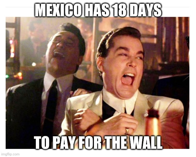 Mexico has 18 days to pay for the wall | MEXICO HAS 18 DAYS; TO PAY FOR THE WALL | image tagged in good fellas,trump wall | made w/ Imgflip meme maker