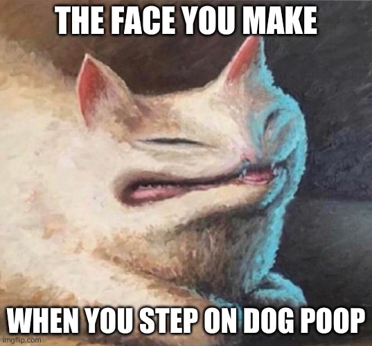  THE FACE YOU MAKE; WHEN YOU STEP ON DOG POOP | image tagged in cursed cat painting | made w/ Imgflip meme maker