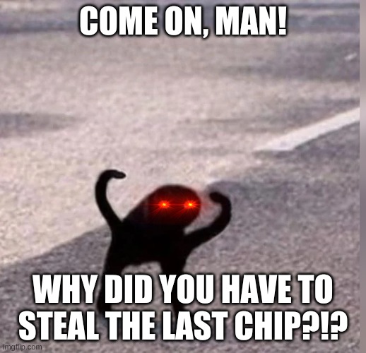 Cursed Cat |  COME ON, MAN! WHY DID YOU HAVE TO STEAL THE LAST CHIP?!? | image tagged in cursed cat | made w/ Imgflip meme maker