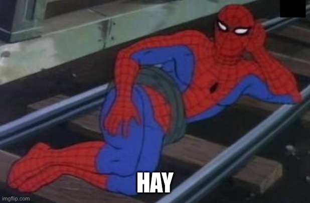 Sexy Railroad Spiderman Meme | HAY | image tagged in memes,sexy railroad spiderman,spiderman | made w/ Imgflip meme maker
