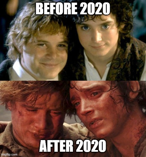 Sam and Frodo Before and After Mt Doom | BEFORE 2020; AFTER 2020 | image tagged in sam and frodo before and after mt doom | made w/ Imgflip meme maker