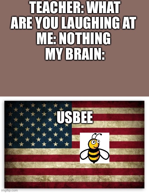 HD US Flag | TEACHER: WHAT ARE YOU LAUGHING AT 
ME: NOTHING 
MY BRAIN:; USBEE | image tagged in hd us flag,bee,teacher what are you laughing at,do people even red the tags,funny,lmao | made w/ Imgflip meme maker