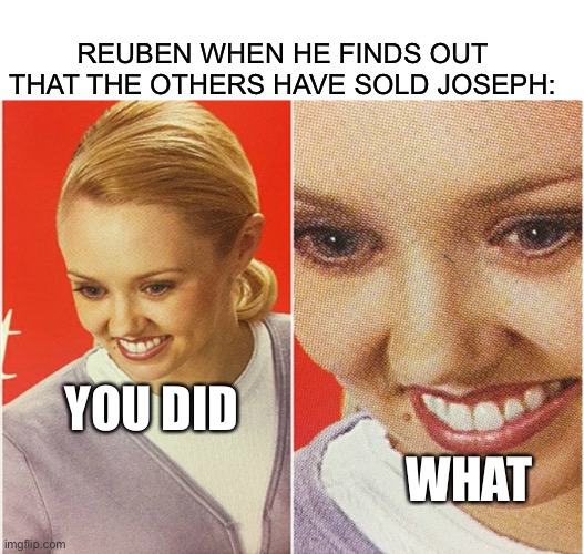 REUBEN WHEN HE FINDS OUT THAT THE OTHERS HAVE SOLD JOSEPH:; YOU DID; WHAT | image tagged in blank white template,wait what,bible,genesis,egypt,memes | made w/ Imgflip meme maker