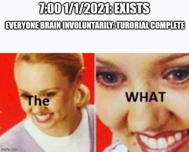 7:00 1/1/2021: EXISTS; EVERYONE BRAIN INVOLUNTARILY: TURORIAL COMPLETE | image tagged in the what | made w/ Imgflip meme maker