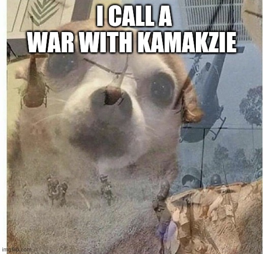 PTSD Chihuahua | I CALL A WAR WITH KAMAKZIE | image tagged in ptsd chihuahua | made w/ Imgflip meme maker